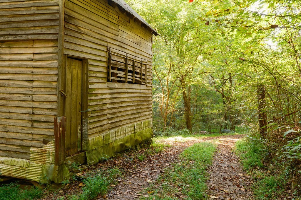 3685 Martin Ervin Road Santa Fe, TN 38482 - Photo 50 of 99 a view of a back yard of the house