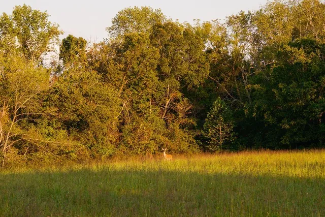 $3,995,000 | 3685 Martin Ervin Road, Santa Fe, TN 38482