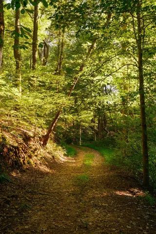 $3,995,000 | 3685 Martin Ervin Road, Santa Fe, TN 38482