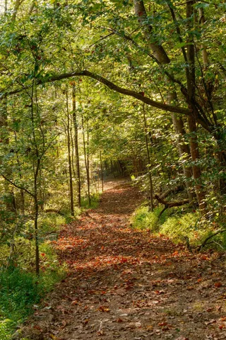 $3,995,000 | 3685 Martin Ervin Road, Santa Fe, TN 38482