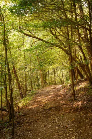 $3,995,000 | 3685 Martin Ervin Road, Santa Fe, TN 38482