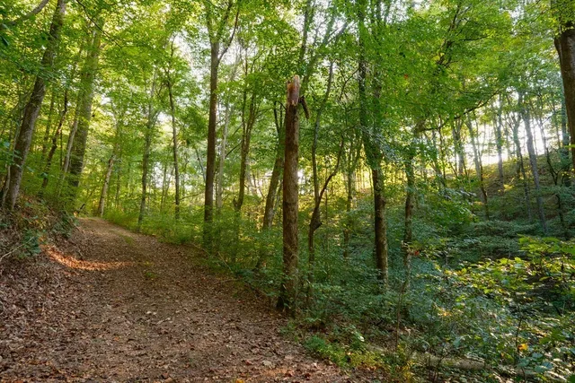 $3,995,000 | 3685 Martin Ervin Road, Santa Fe, TN 38482