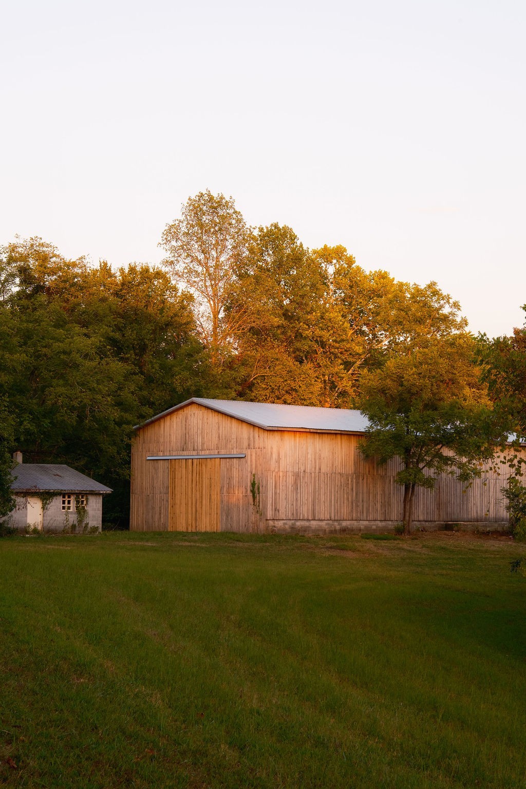 3685 Martin Ervin Road Santa Fe, TN 38482 - Photo 63 of 99 a view of a back yard
