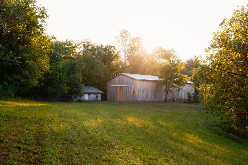 3685 Martin Ervin Road Santa Fe, TN 38482 - Photo 65 of 99