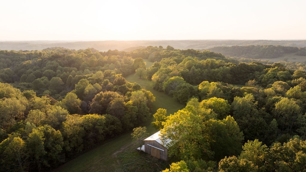 3685 Martin Ervin Road Santa Fe, TN 38482 - Photo 68 of 99 a view of a lot of trees in a city