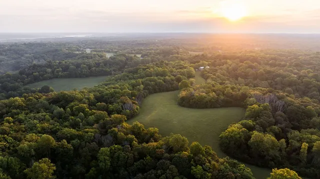 a front view of a house with a garden and yard