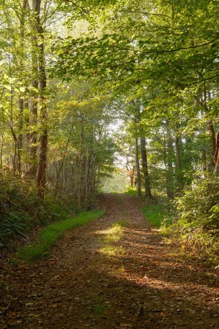 $3,995,000 | 3685 Martin Ervin Road, Santa Fe, TN 38482