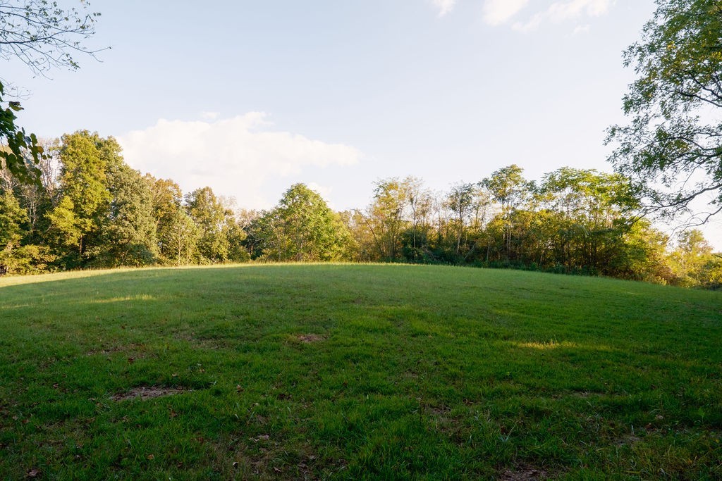 3685 Martin Ervin Road Santa Fe, TN 38482 - Photo 72 of 99 a view of field with trees in the background