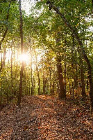 $3,995,000 | 3685 Martin Ervin Road, Santa Fe, TN 38482