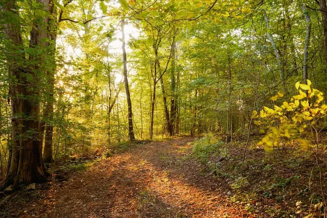 $3,995,000 | 3685 Martin Ervin Road, Santa Fe, TN 38482