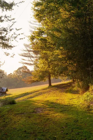 $3,995,000 | 3685 Martin Ervin Road, Santa Fe, TN 38482