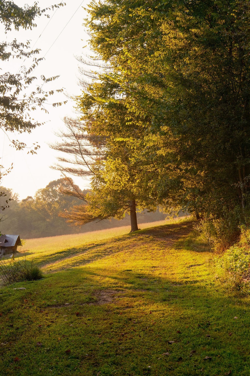 3685 Martin Ervin Road Santa Fe, TN 38482 - Photo 76 of 99