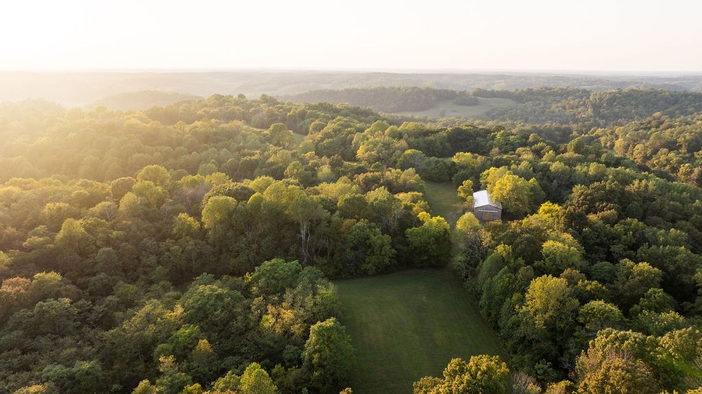 3685 Martin Ervin Road Santa Fe, TN 38482 - Photo 86 of 99