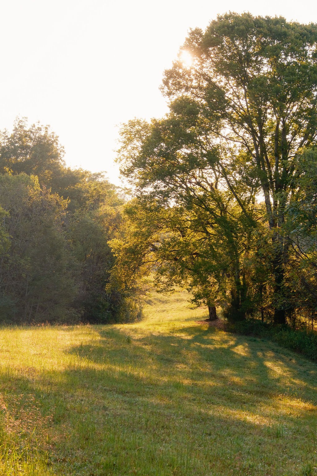 3685 Martin Ervin Road Santa Fe, TN 38482 - Photo 90 of 99