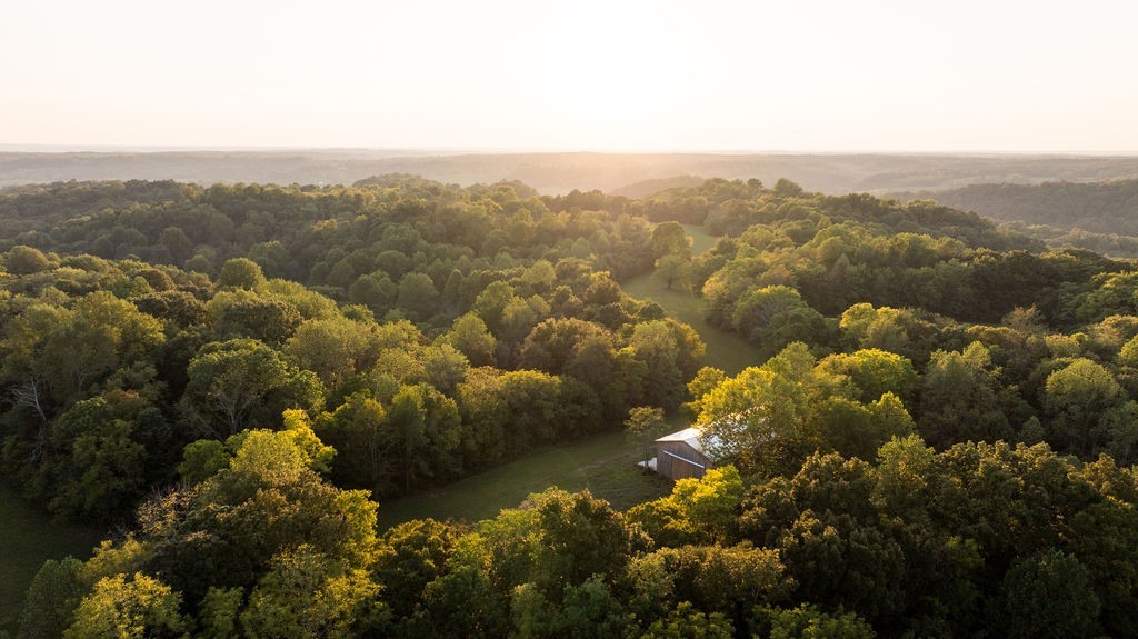 3685 Martin Ervin Road Santa Fe, TN 38482 - Photo 9 of 99