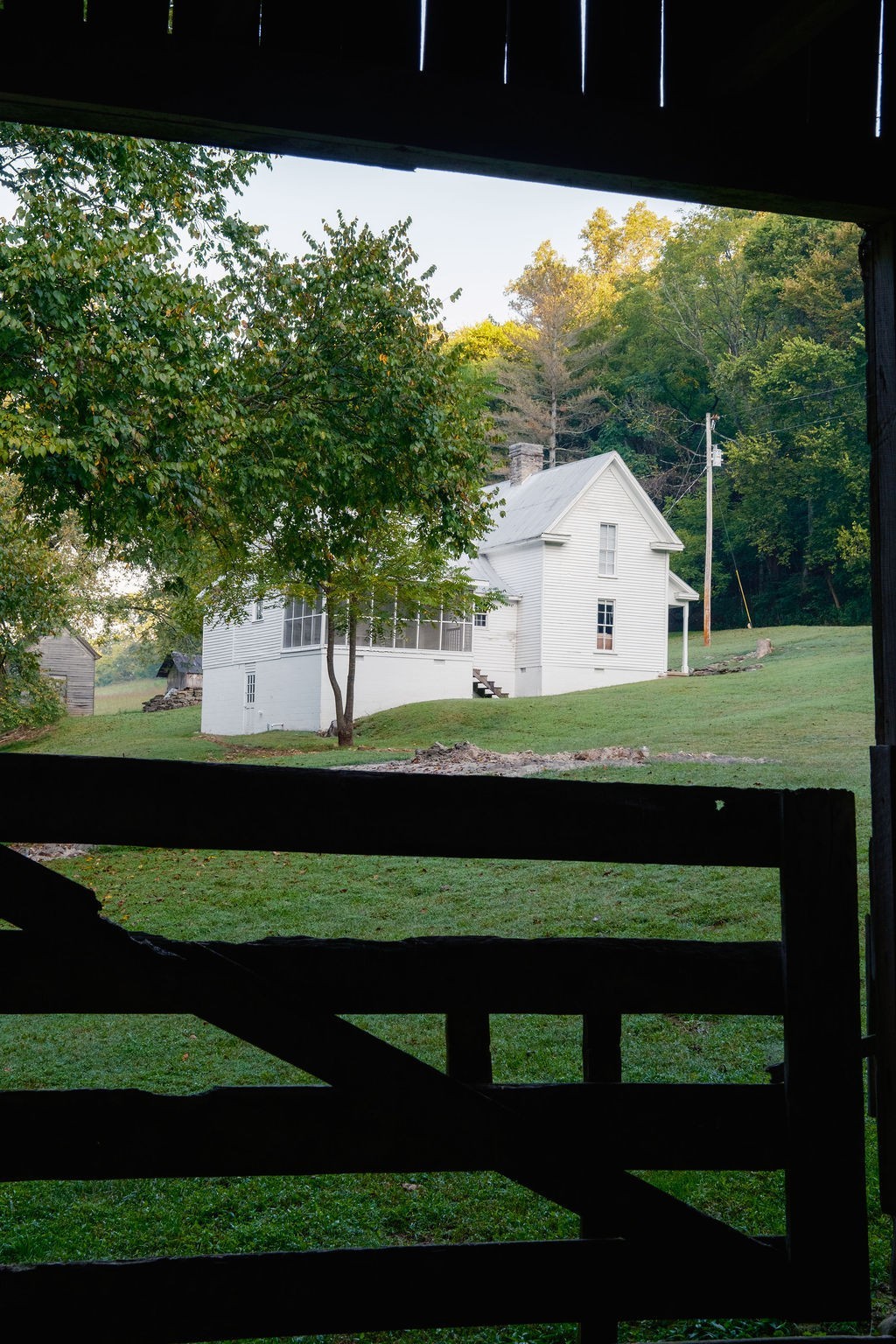 3685 Martin Ervin Road Santa Fe, TN 38482 - Photo 92 of 99 a view of a big yard with large trees