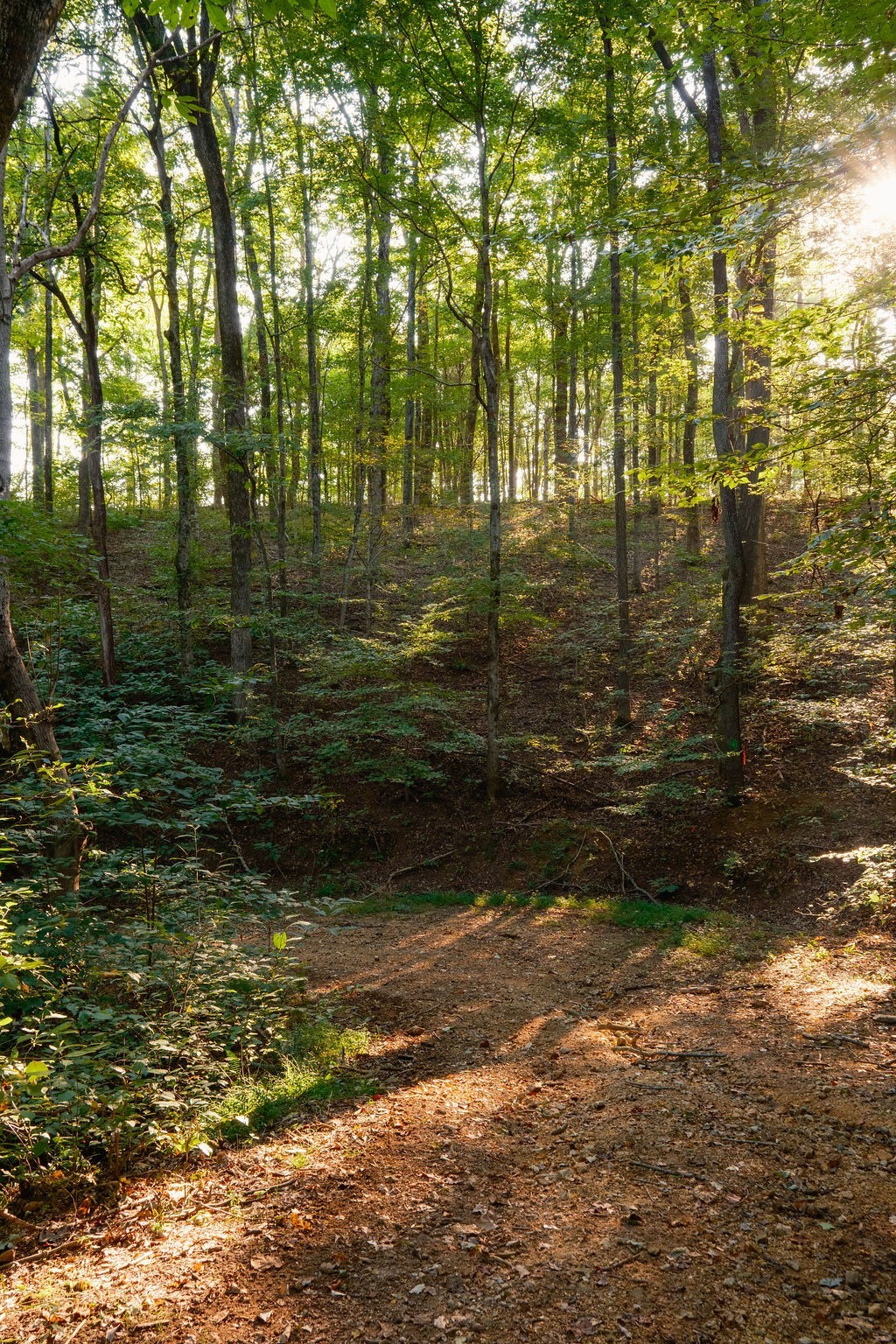 3685 Martin Ervin Road Santa Fe, TN 38482 - Photo 93 of 99