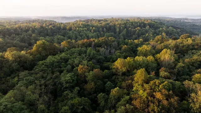 $3,995,000 | 3685 Martin Ervin Road, Santa Fe, TN 38482