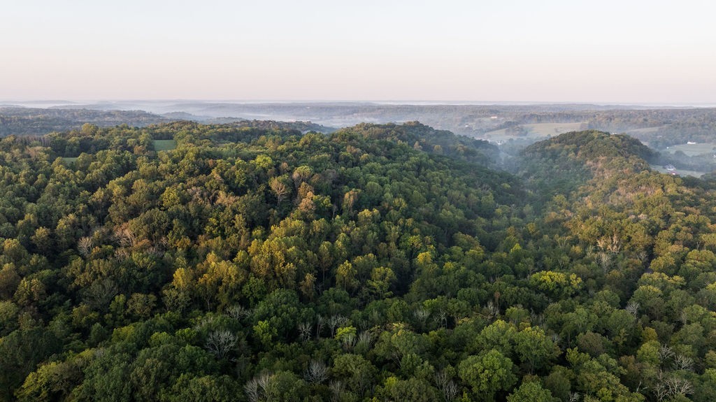 3685 Martin Ervin Road Santa Fe, TN 38482 - Photo 97 of 99 an aerial view of town with residential houses and trees in the background