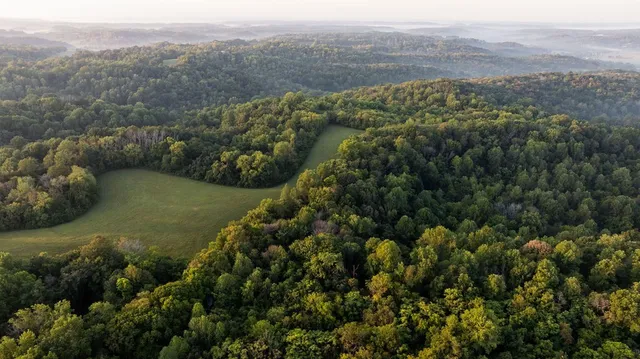 $3,995,000 | 3685 Martin Ervin Road, Santa Fe, TN 38482