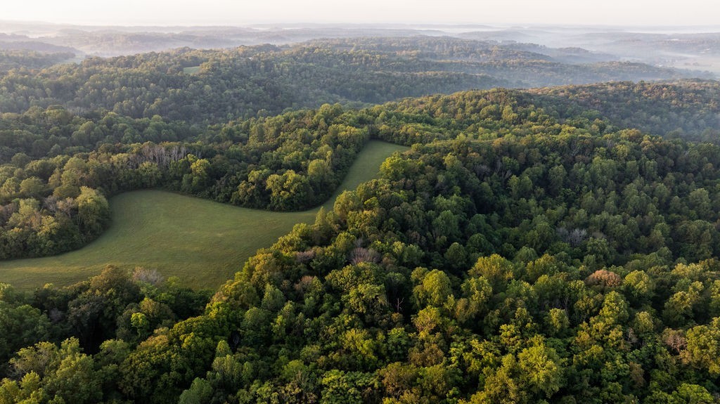 3685 Martin Ervin Road Santa Fe, TN 38482 - Photo 99 of 99