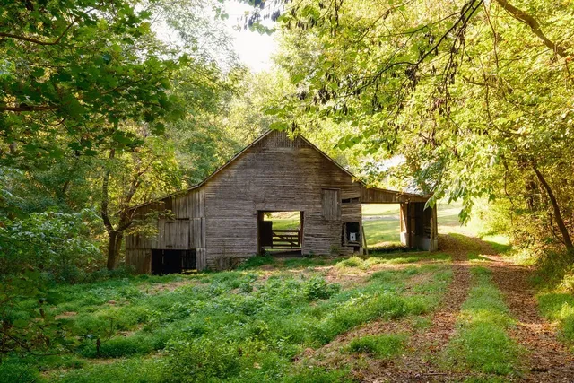 a aerial view of a house next to a yard and large trees