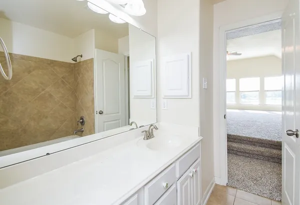a bathroom with a sink and a mirror