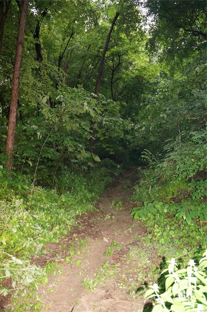 24928 Eldred Road Fieldon, IL 62031 - Photo 22 of 77