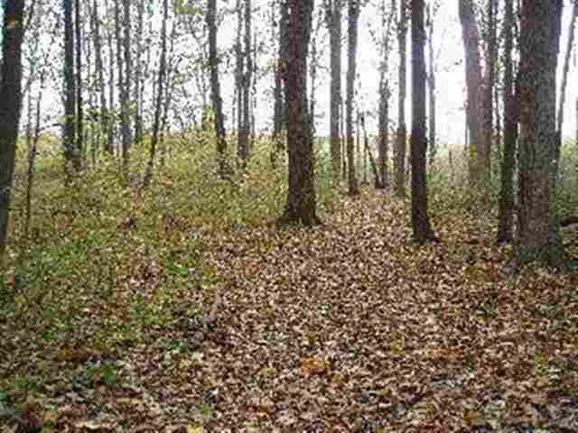 3566 Kane Road Carleton, MI 48117 - Photo 17 of 20 738331-16.JPG