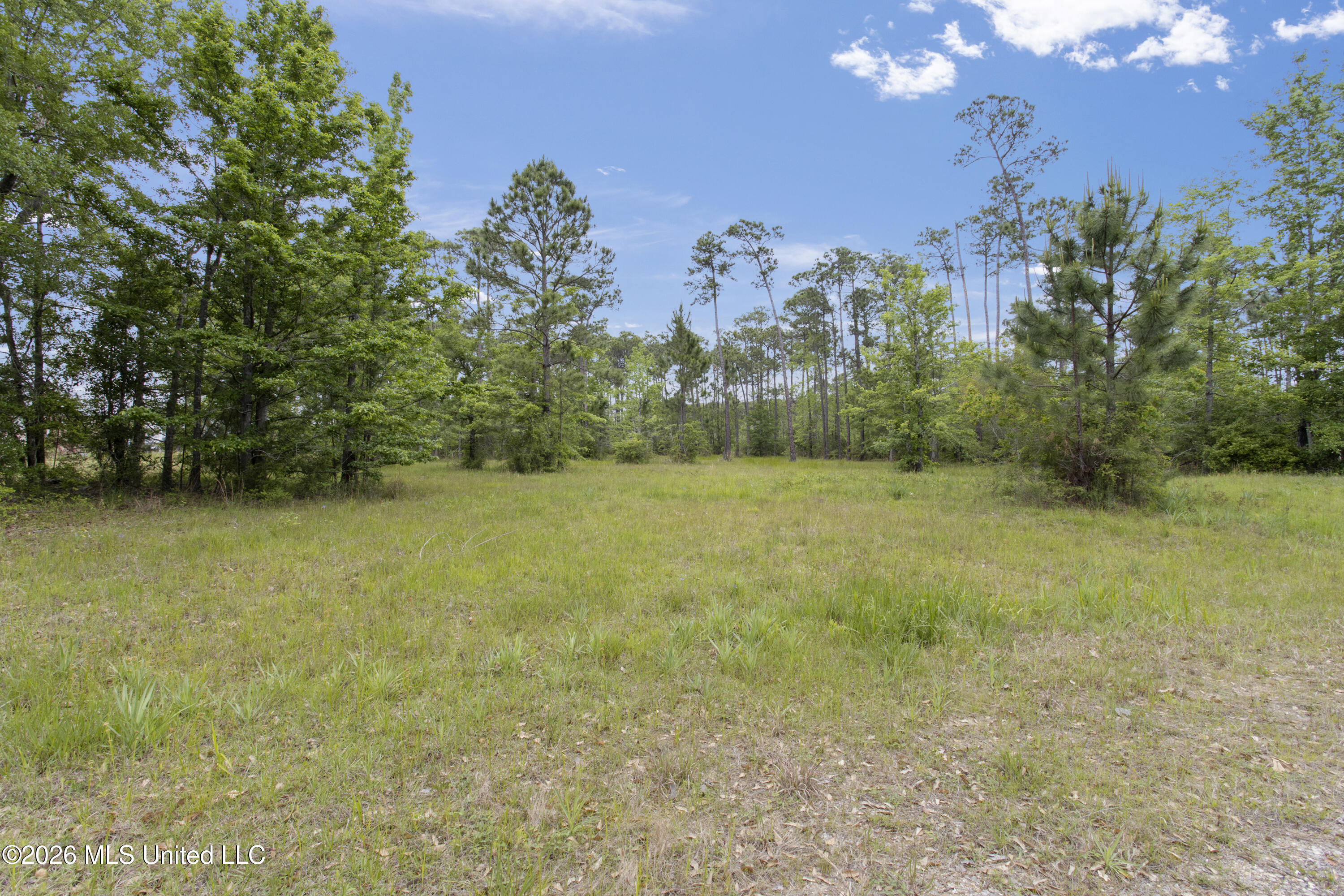 0 Hummingbird Lane Biloxi, MS 39532 - Photo 3 of 17 002