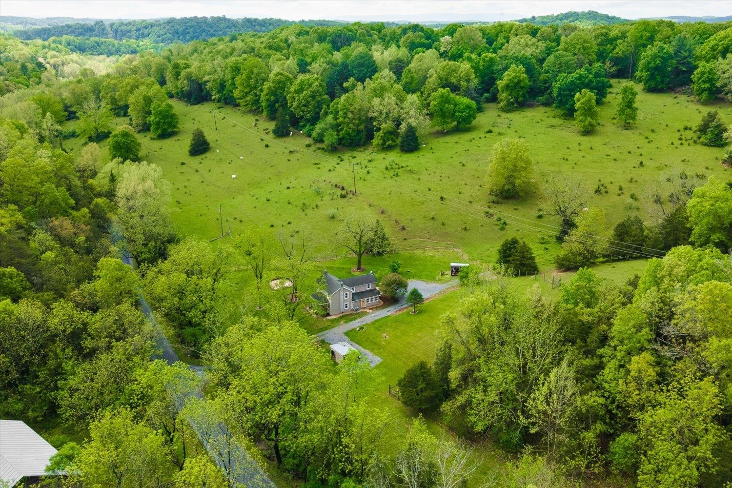 788 Hundley Distillery Road Churchville, VA 24421 - Photo 54 of 56 a view of a lush green forest with trees and grass