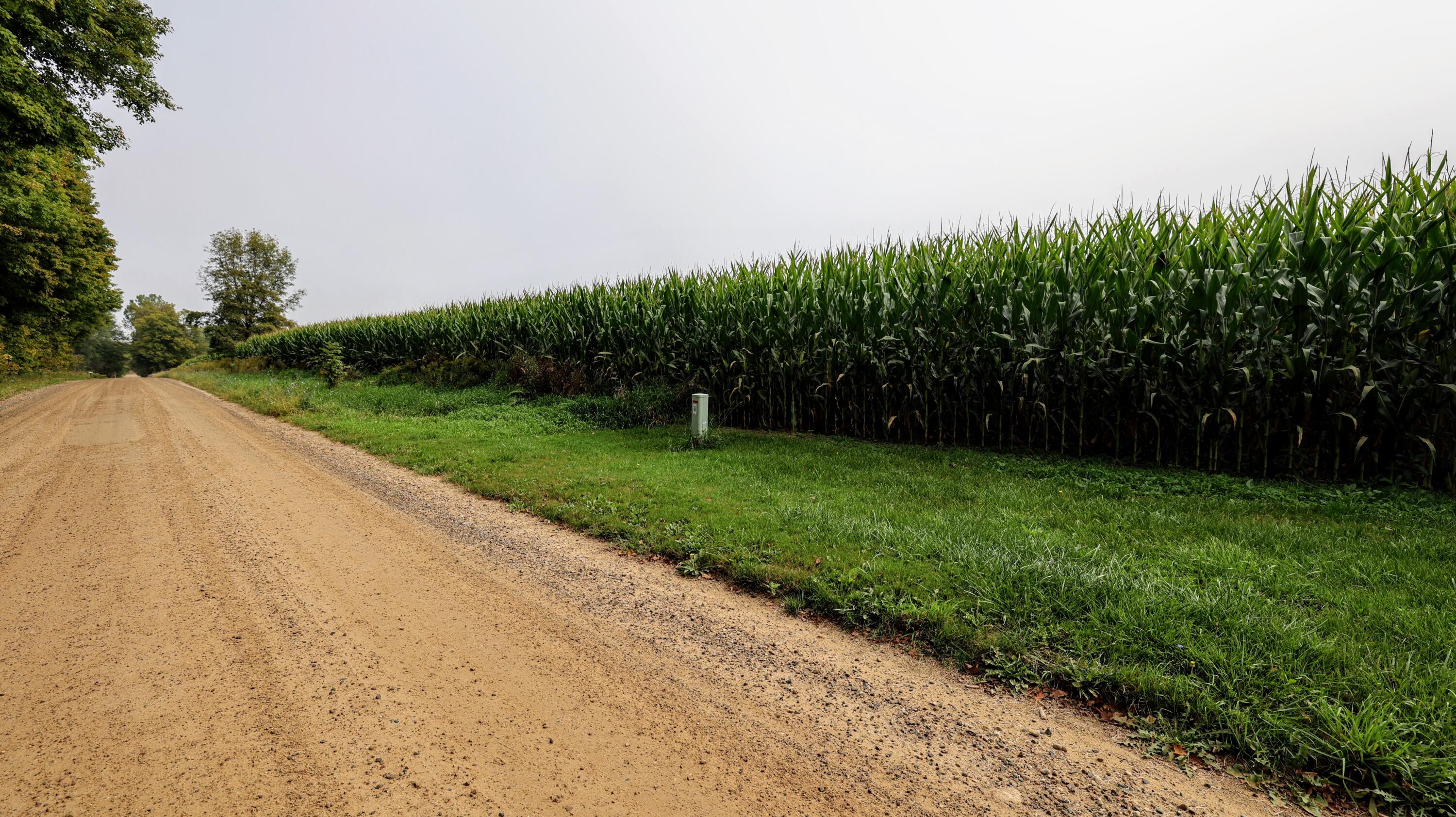 Vl Cox Road Bellevue, MI 49021 - Photo 13 of 68 10