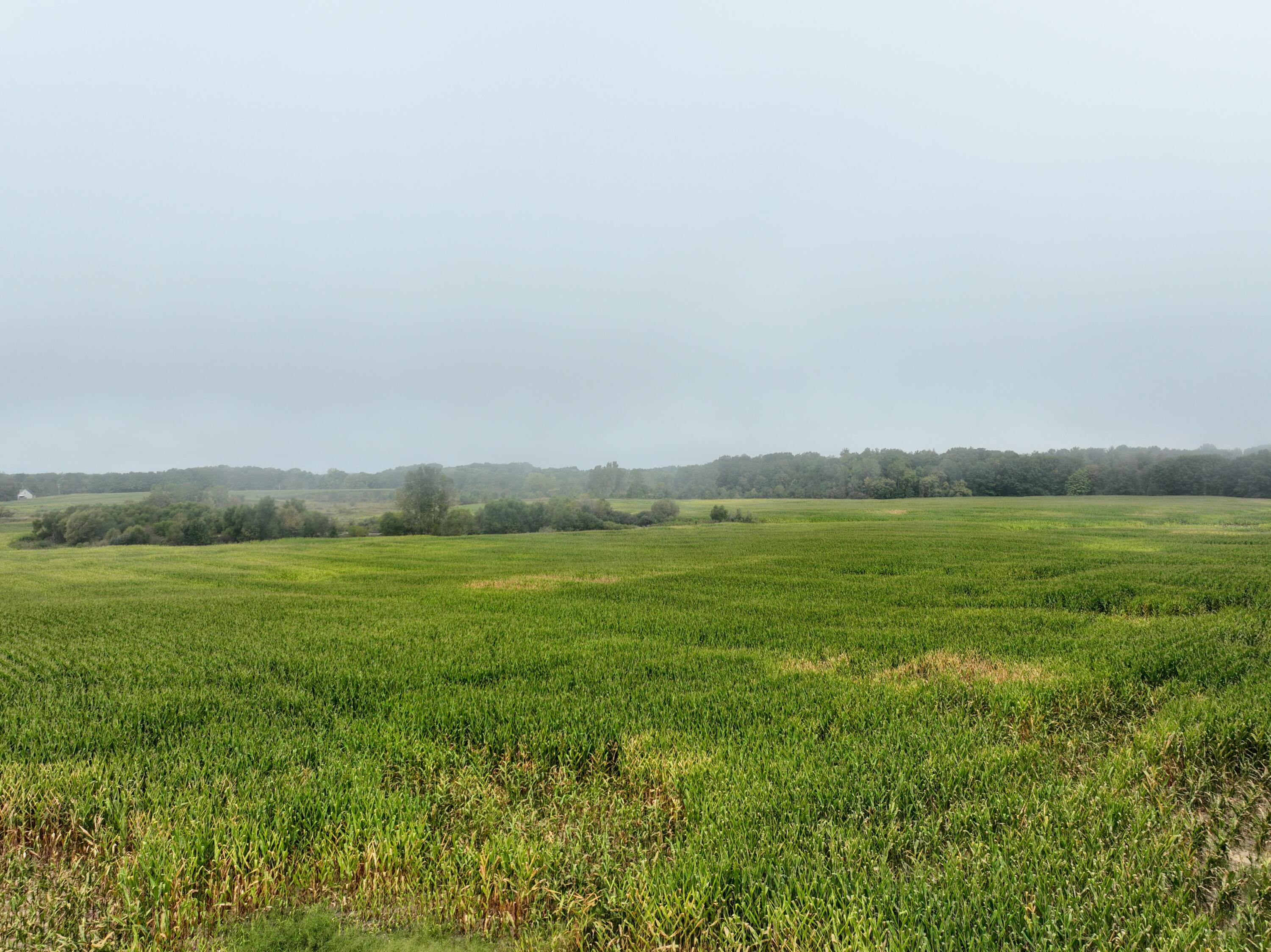 Vl Cox Road Bellevue, MI 49021 - Photo 18 of 68 16