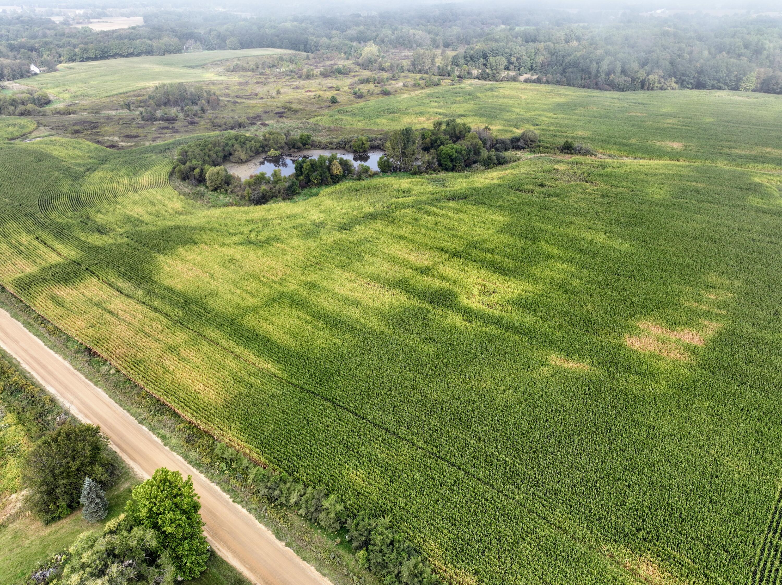Vl Cox Road Bellevue, MI 49021 - Photo 2 of 68 2
