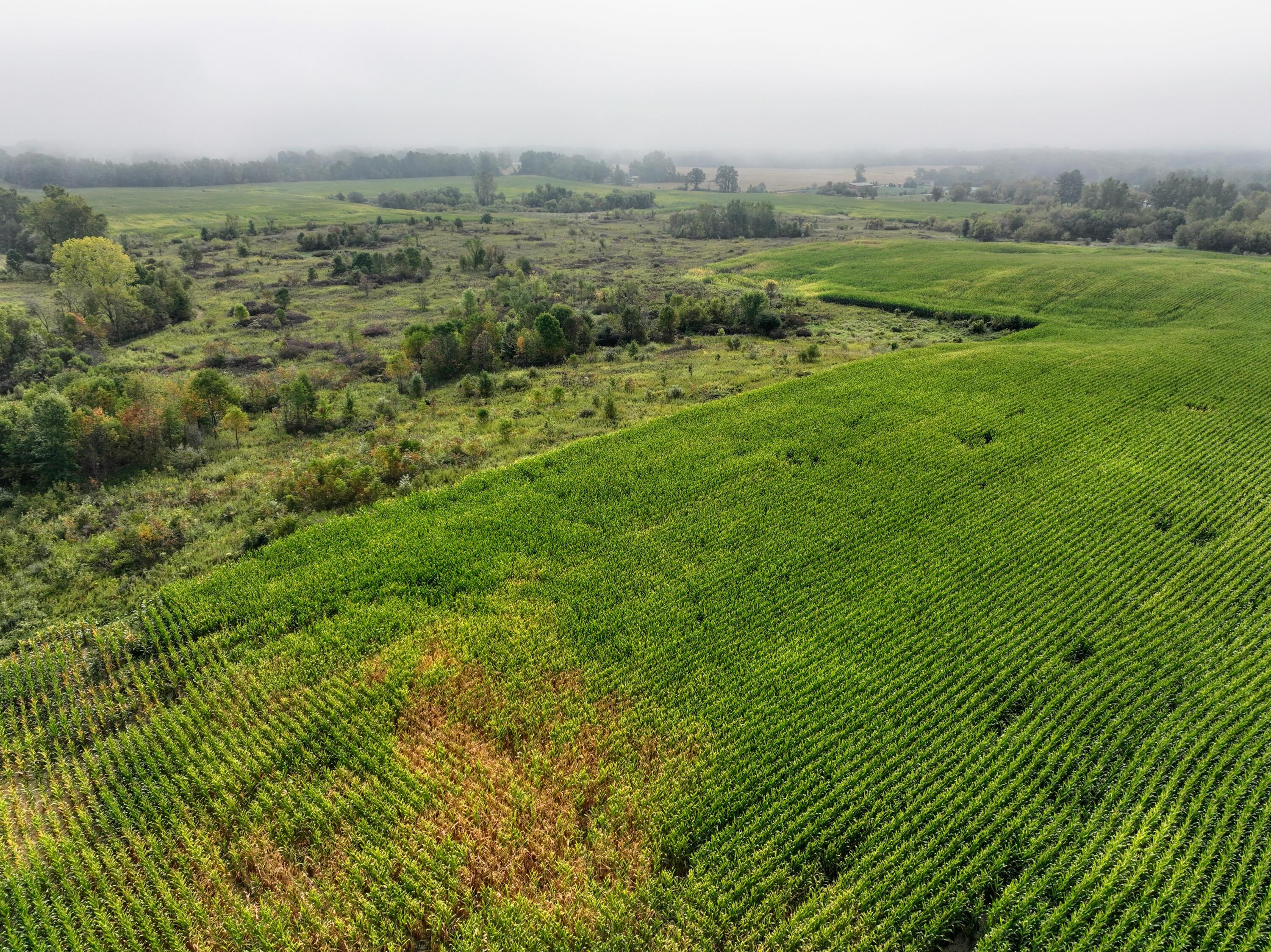 Vl Cox Road Bellevue, MI 49021 - Photo 24 of 68 22