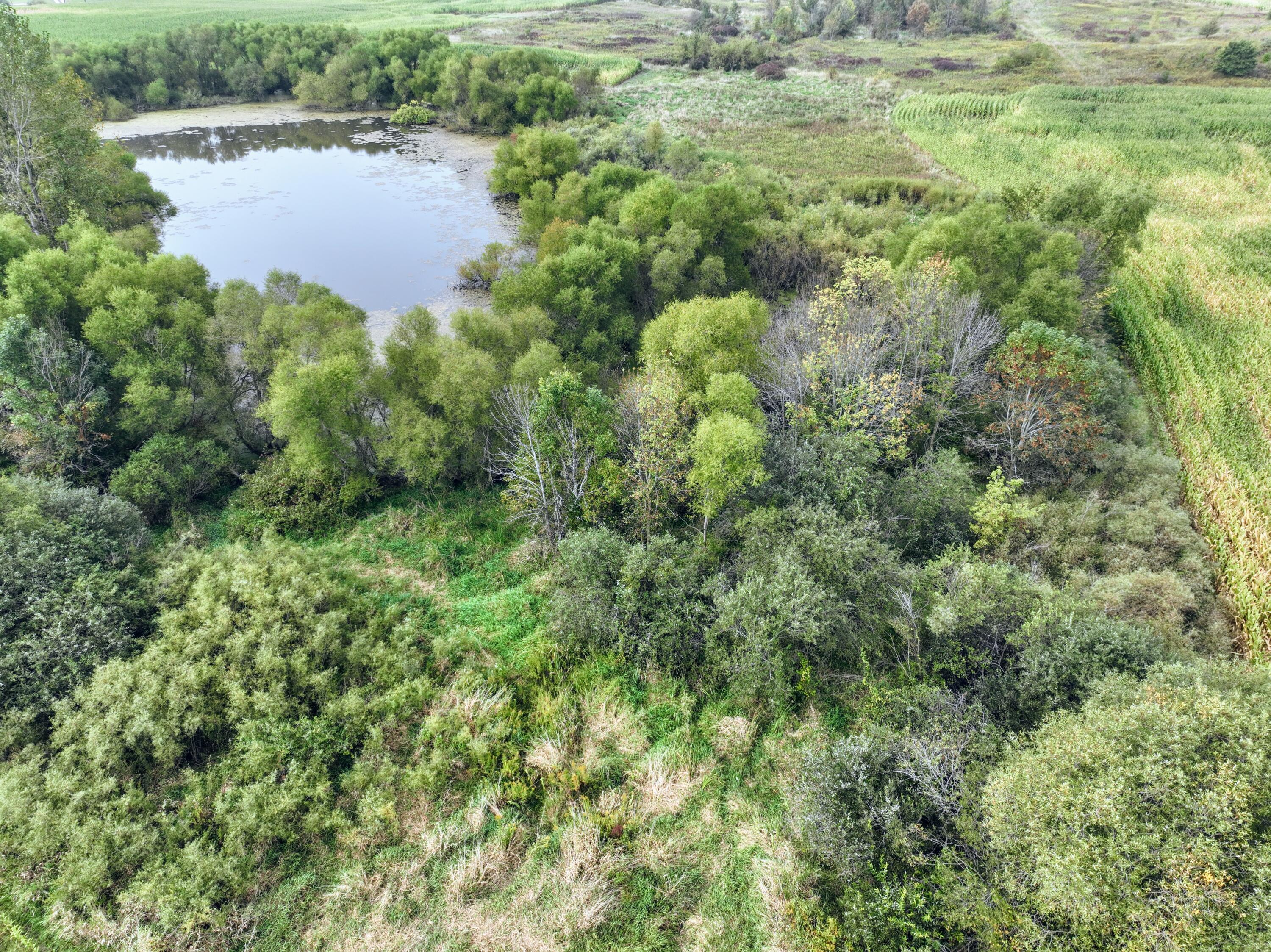 Vl Cox Road Bellevue, MI 49021 - Photo 28 of 68 26