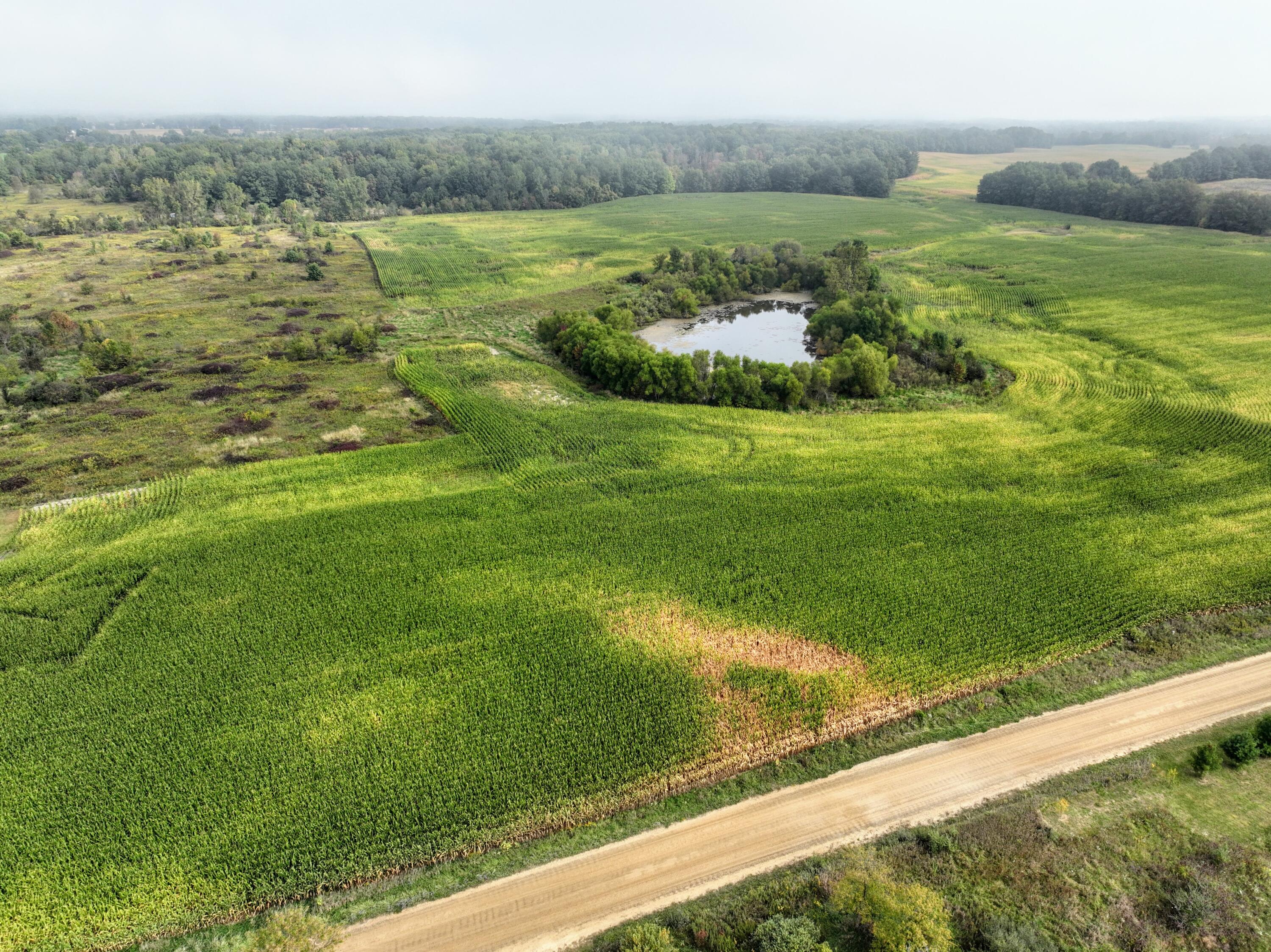 Vl Cox Road Bellevue, MI 49021 - Photo 31 of 68 29