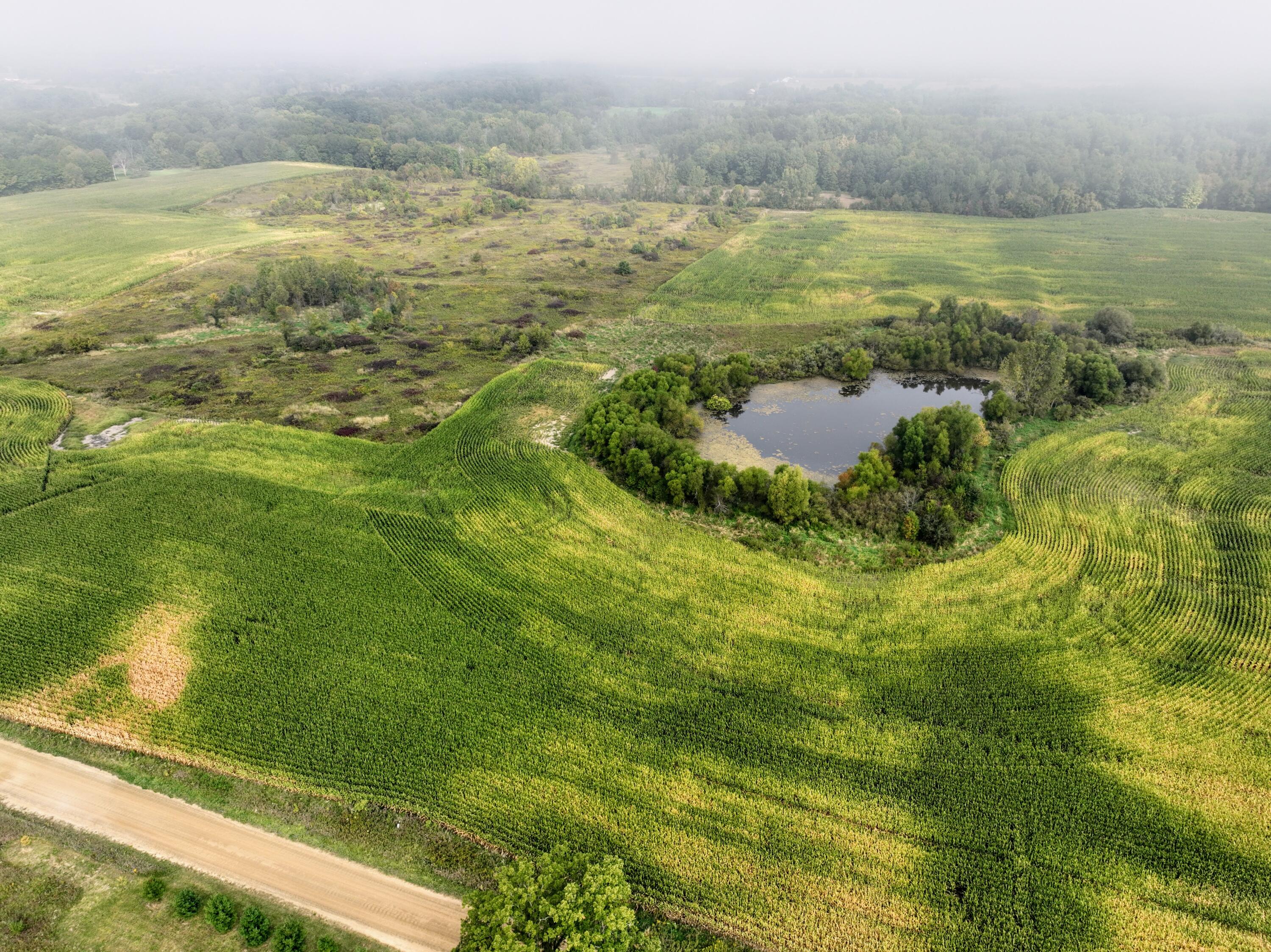 Vl Cox Road Bellevue, MI 49021 - Photo 32 of 68 30