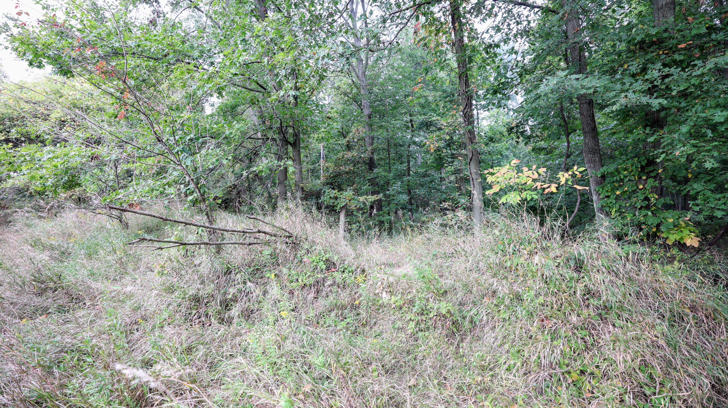 Vl Cox Road Bellevue, MI 49021 - Photo 42 of 68 40