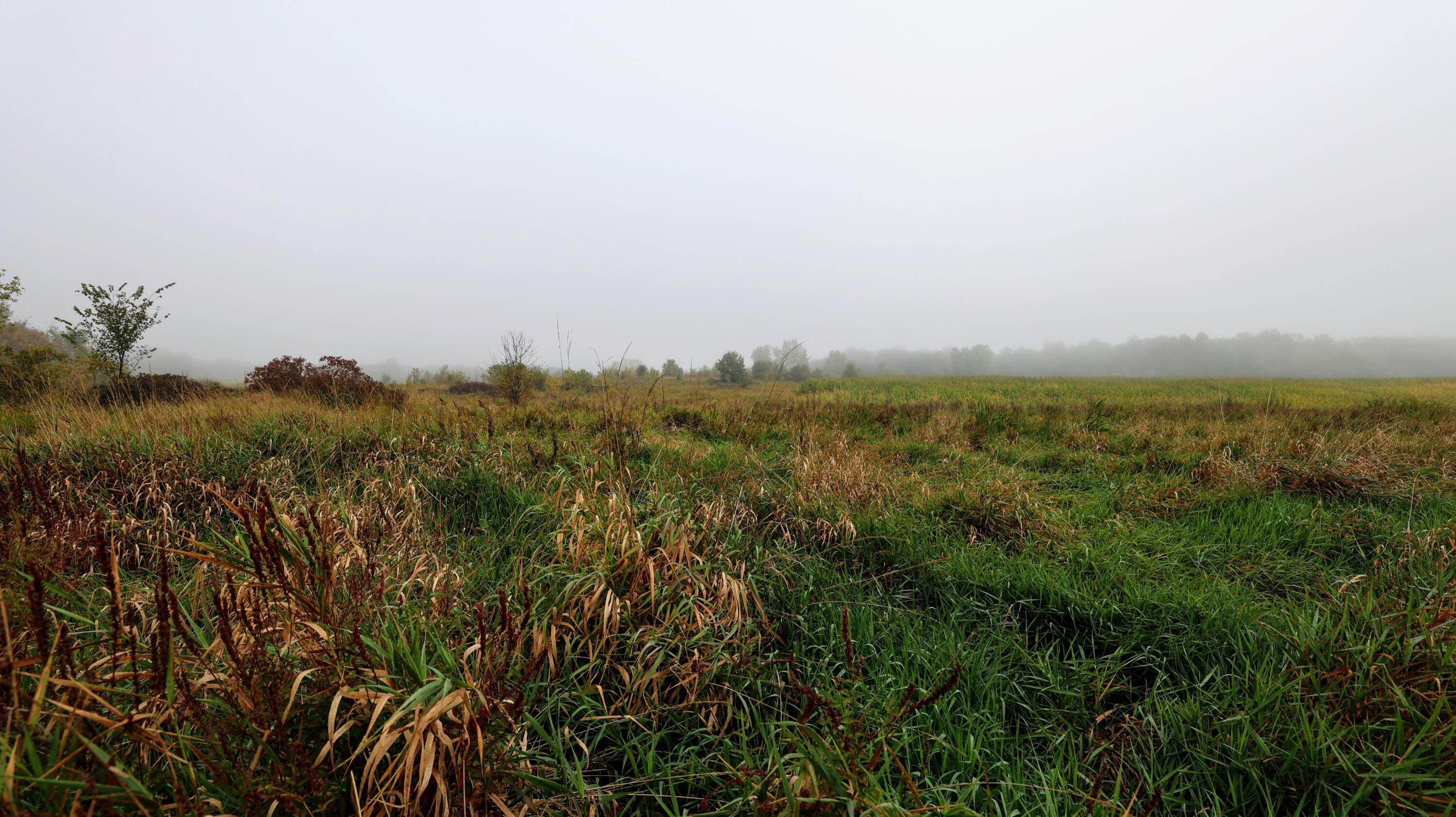 Vl Cox Road Bellevue, MI 49021 - Photo 45 of 68 43