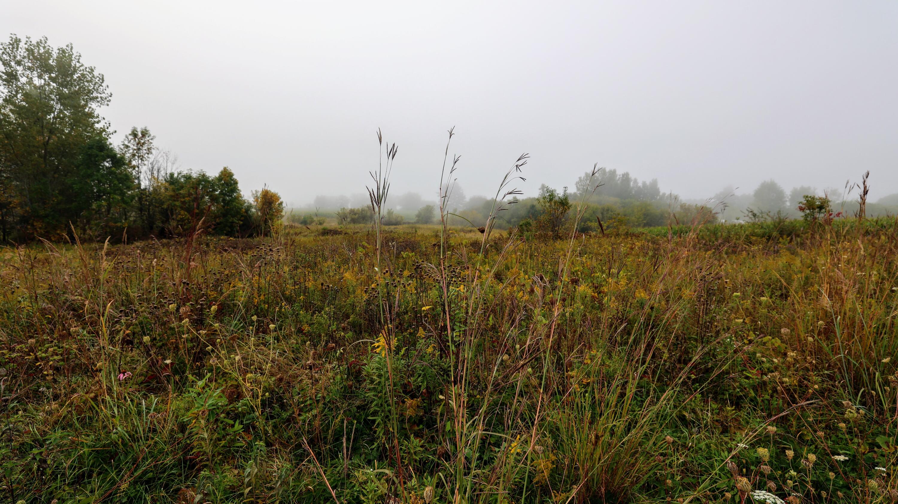 Vl Cox Road Bellevue, MI 49021 - Photo 48 of 68 46