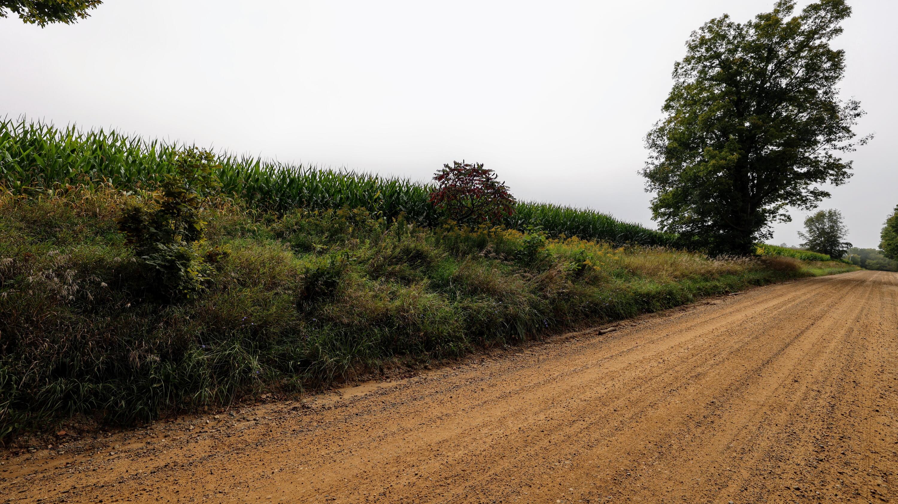 Vl Cox Road Bellevue, MI 49021 - Photo 57 of 68 55