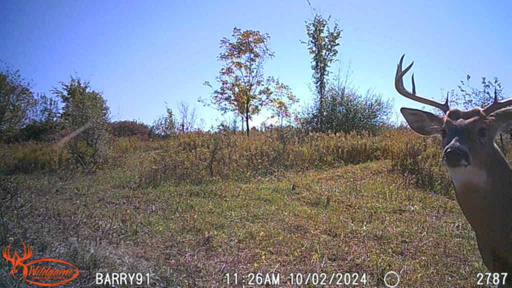 Vl Cox Road Bellevue, MI 49021 - Photo 61 of 68 6