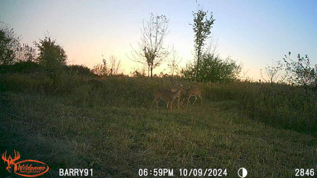 Vl Cox Road Bellevue, MI 49021 - Photo 65 of 68 10