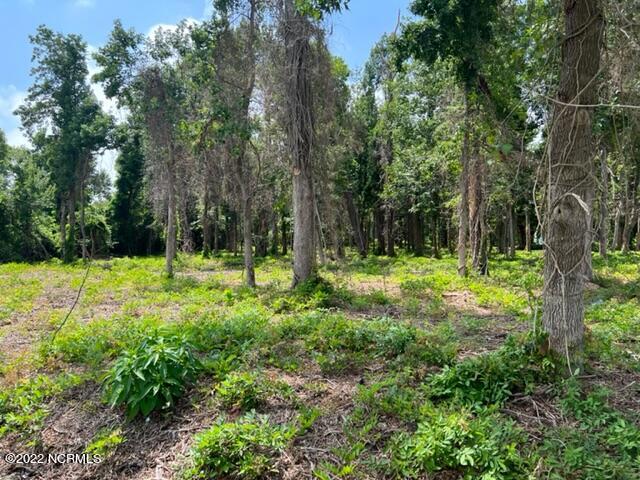 119 Wallace Road Beaufort, NC 28516 - Photo 21 of 25 119 Wallace Rd (6)