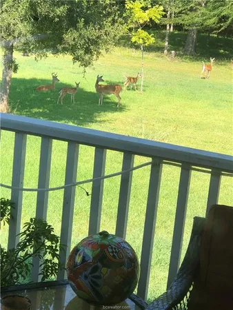 $385,000 | 3287 Bradley Lane, Brenham, TX 77833