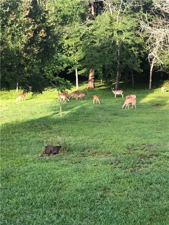 $385,000 | 3287 Bradley Lane, Brenham, TX 77833