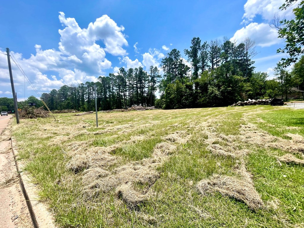 0 Industrial Park Road Northeast Brookhaven, MS 39601 - Photo 3 of 3 Photo 3