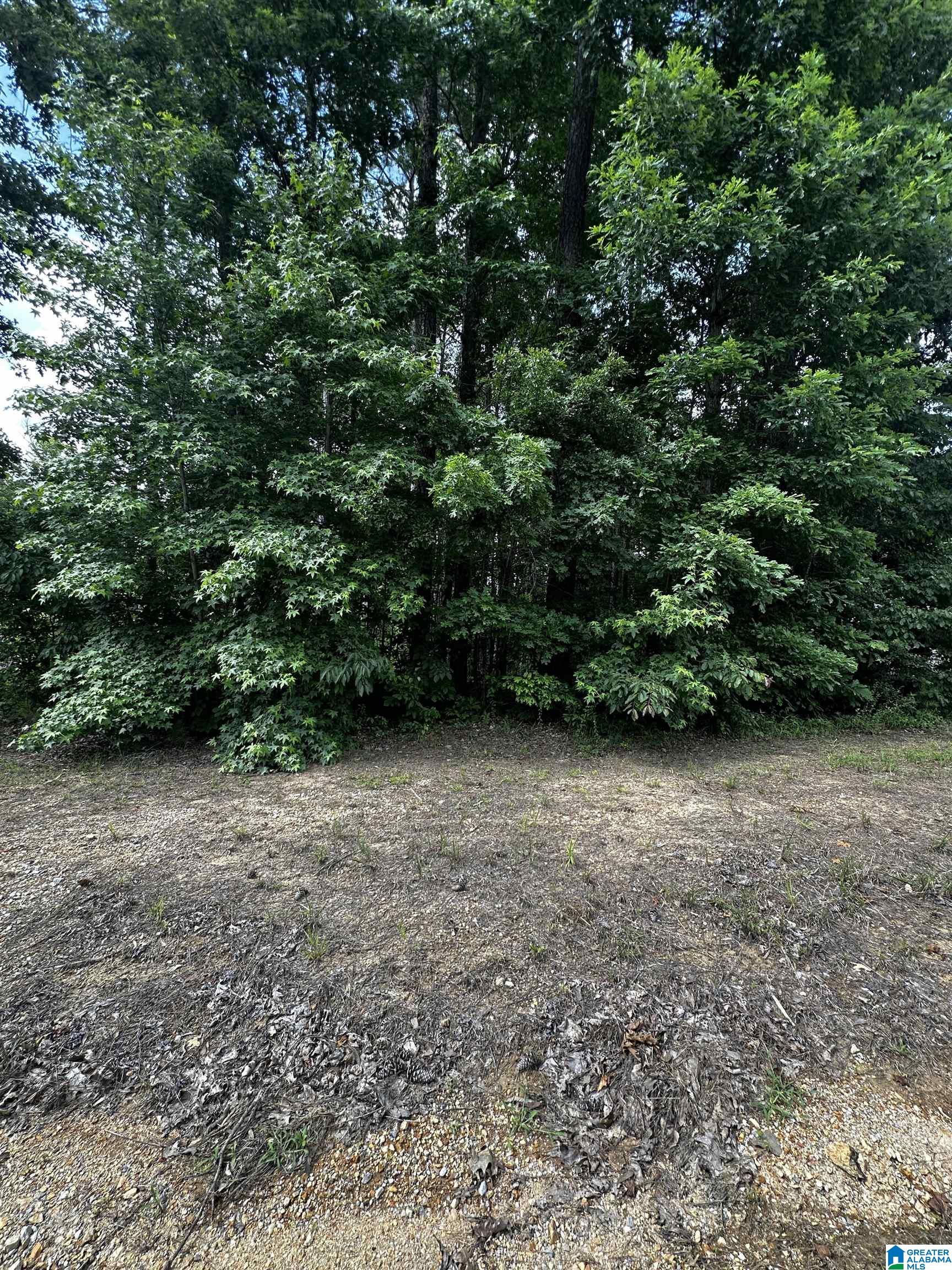 Sandy Drive, Unit 69 McCalla, AL 35111 - Photo 3 of 4