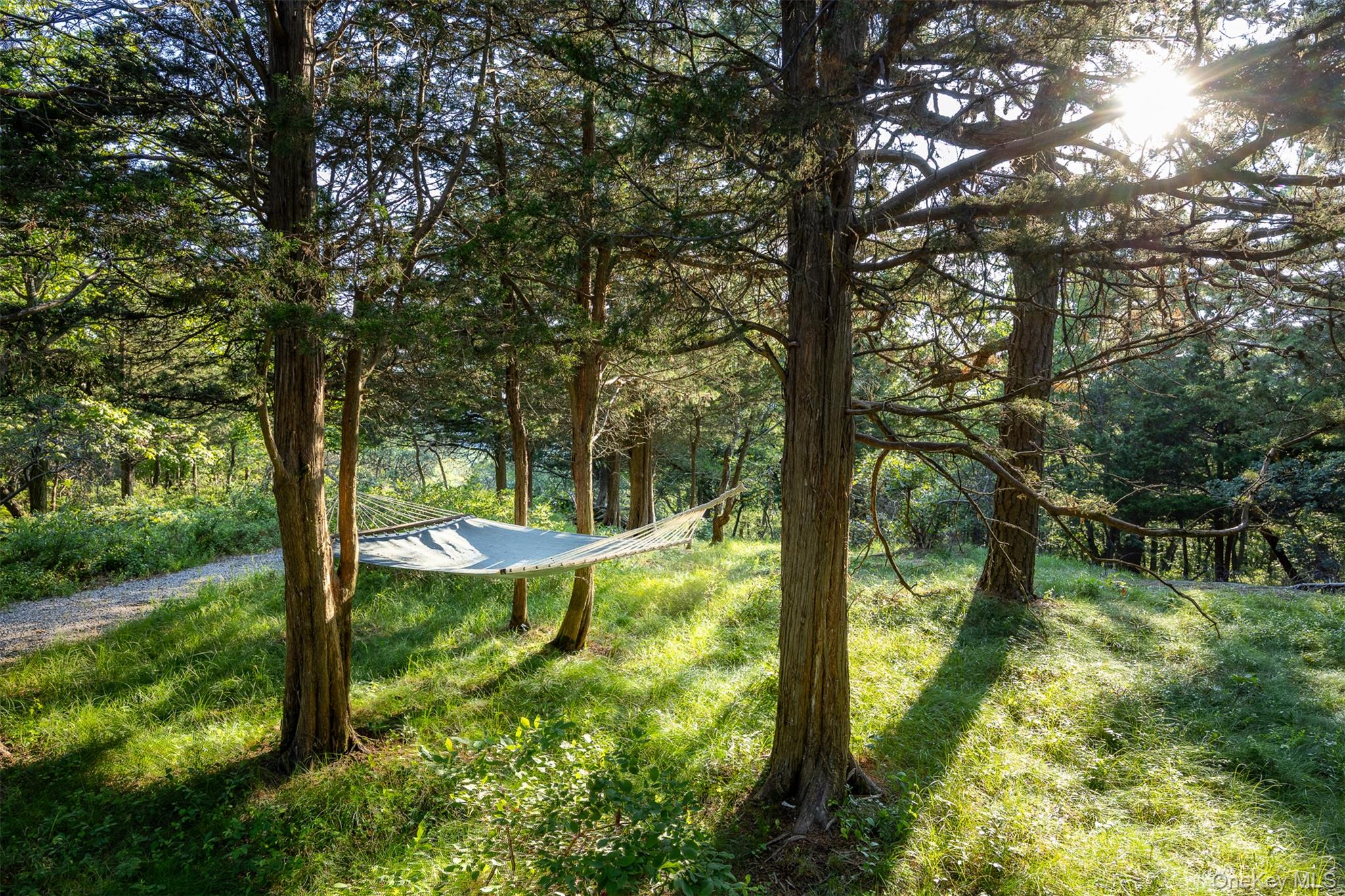 12 Mountain Brook Road Cornwall, NY 12518 - Photo 9 of 50 View of green lawn